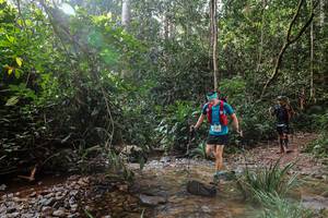 BIB: 
                            <button type="button" onclick="openModal(22350242)" class="btn btn-primary btn-sm float-right btn-popup" data-toggle="modal" data-target=".modal-high-quality">
                        <i class="fas fa-shopping-cart"></i> Add to Cart
                    </button>
                                            <button type="button" onclick="isThisMe(22350242, true)" class="btn btn-success btn-sm float-right btn-popup btn-isme hidden" data-toggle="tooltip" data-placement="bottom" title="นี่คือรูปของคุณใช่ไหม คลิกที่นี่เพื่อเอาเข้าอัลบั้ม">
                        <i class="fas fa-plus"></i> Add to album
                    </button>
                    <button type="button" onclick="isThisMe(22350242, false)" class="btn btn-warning btn-sm float-right btn-popup btn-isnotme hidden">
                        <i class="fas fa-ban"></i> Remove from album
                    </button>